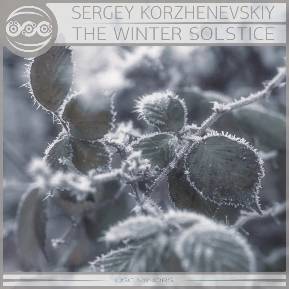 Sergey Korzhenevskiy - The Winter Solstice